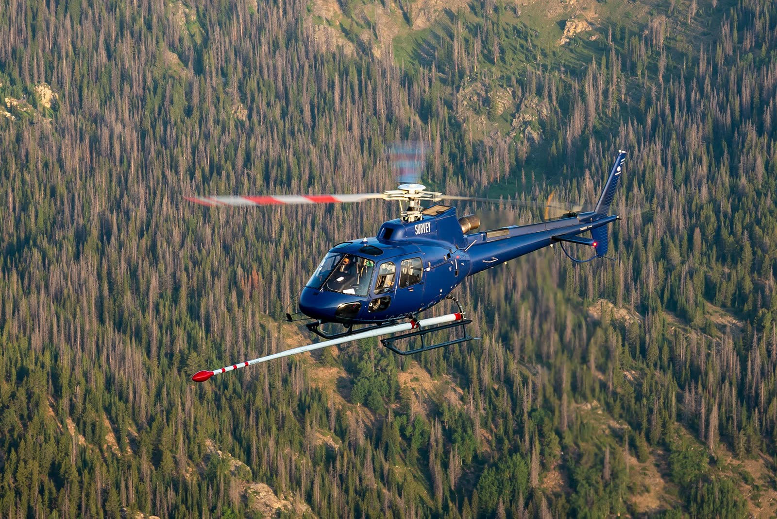 An Airbus H125 in flight